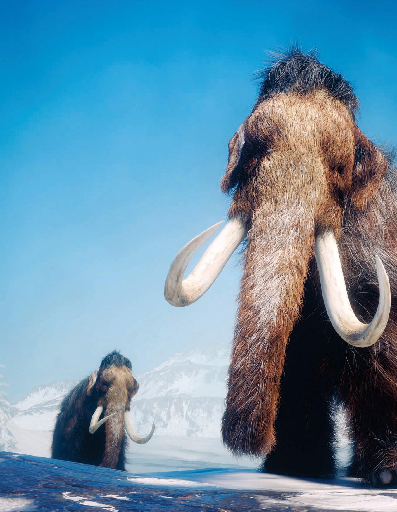 HOW THE MIGHTY MAMMOTH RULED THE ICE AGE