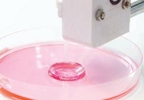 INCREDIBLE SCIENCE BREAKTHROUGHS FOR 2026