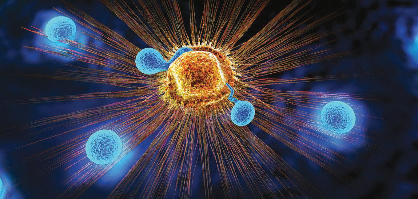A high-fibre diet may ‘rejuvenate' immune cells that fight cancer