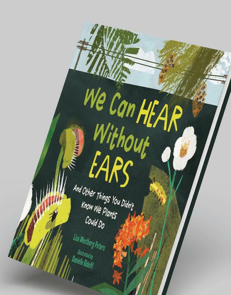 WE CAN HEAR WITHOUT EARS