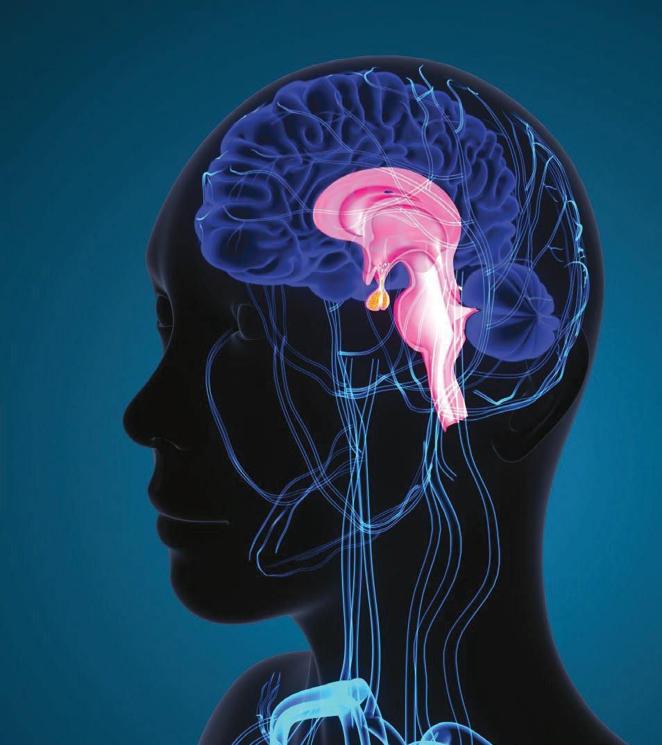 WORLD'S RAREST CONDITIONS