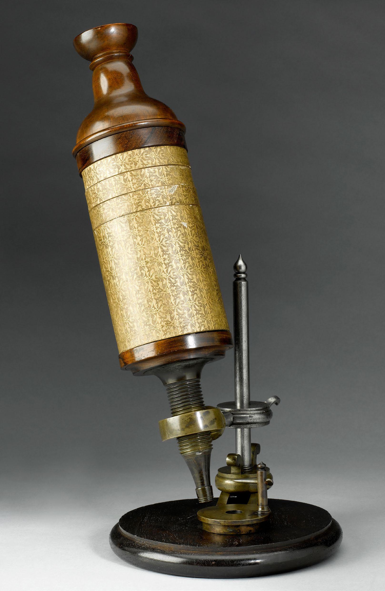 ROBERT HOOKE MICROSCOPE