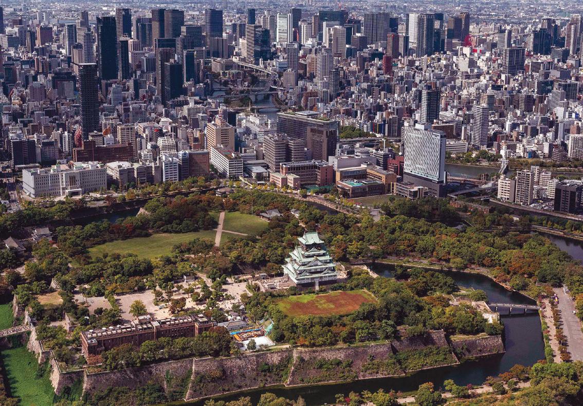 EDO CASTLES