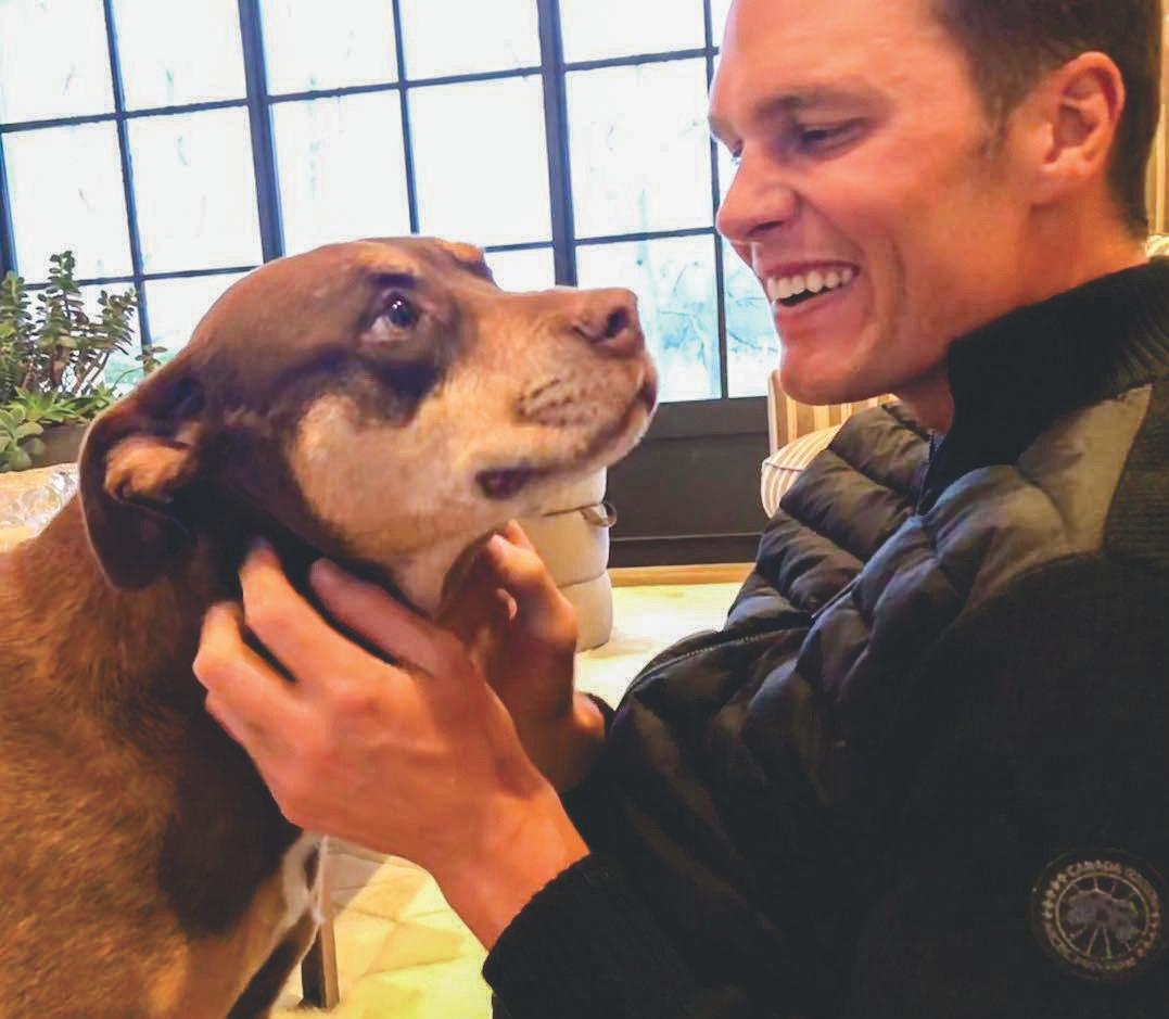 DOUBLE THE BARK: STARS WHO'VE CLONED THEIR DOGS