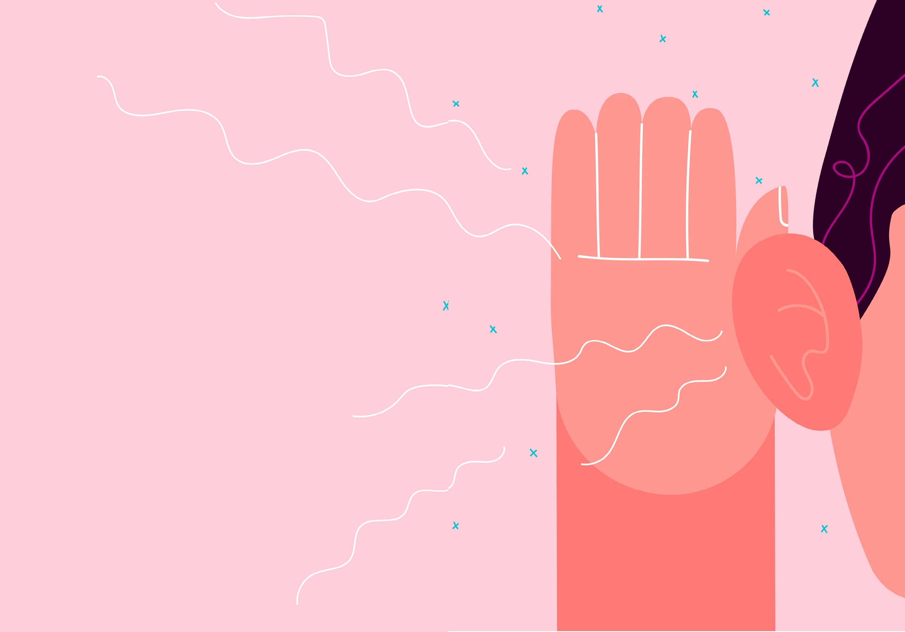 NOVEDADES para la P&Eacute;RDIDA AUDITIVA