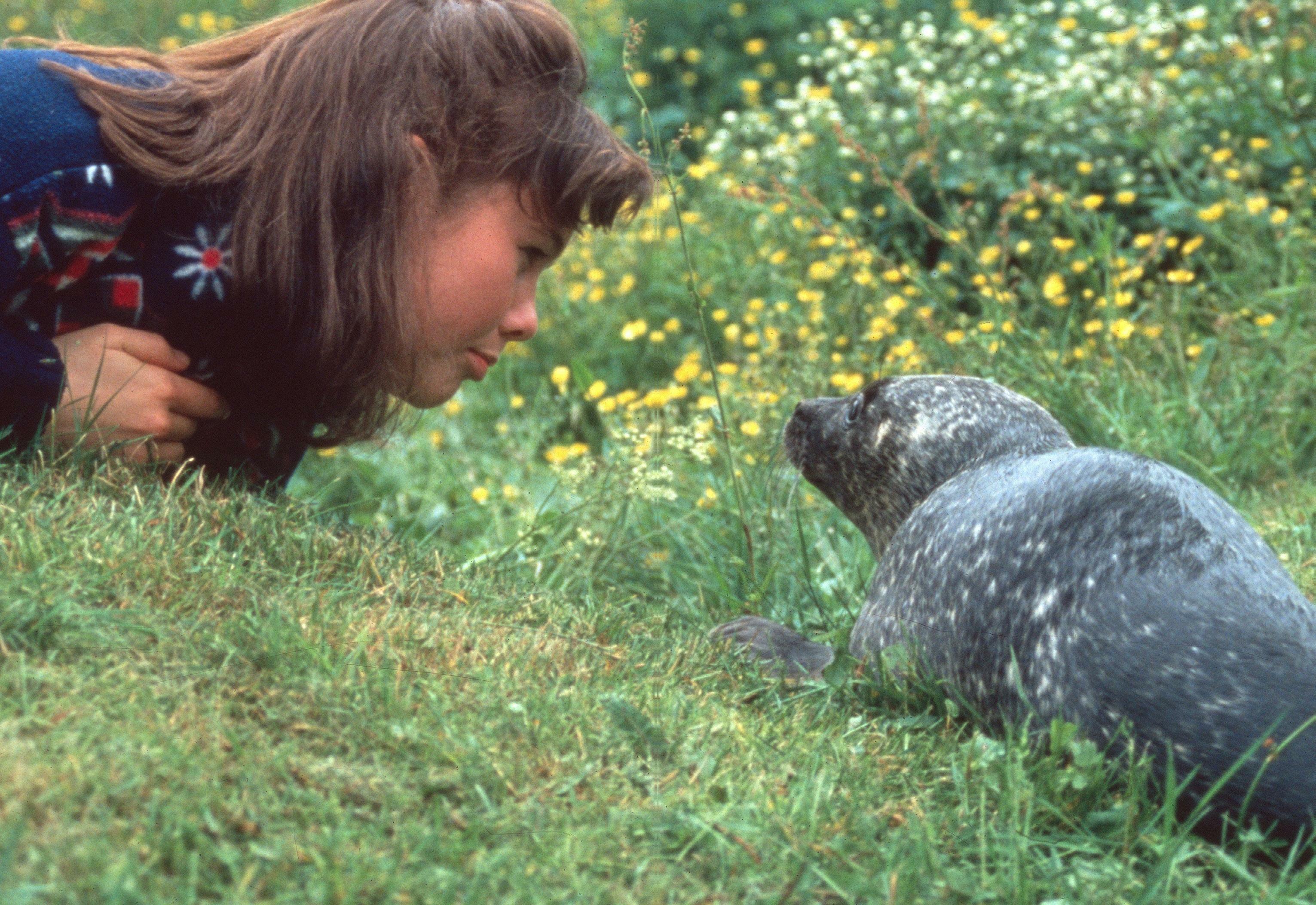 MI VERANO CON UNA FOCA