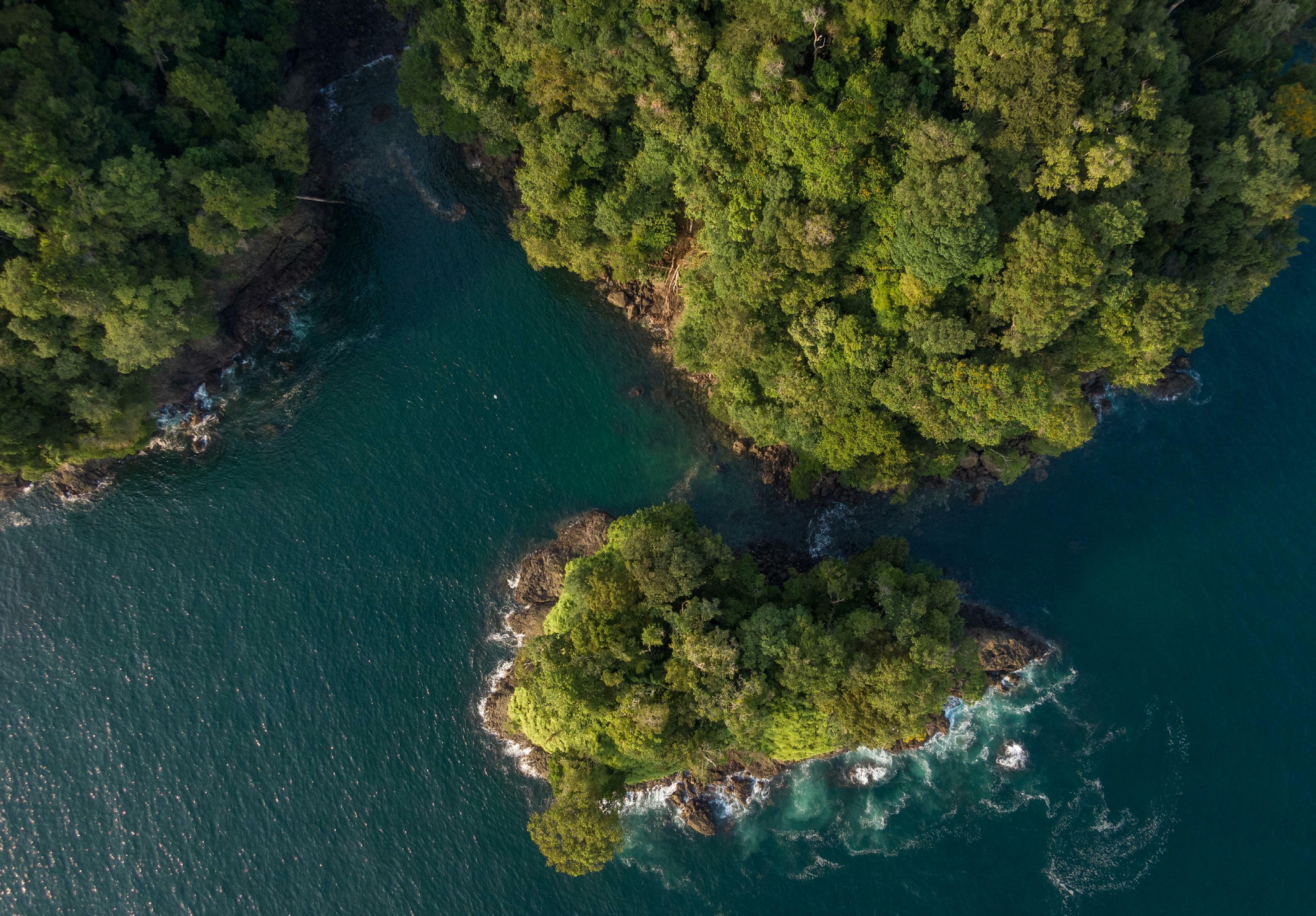 Buceando en la selva del Pacífico