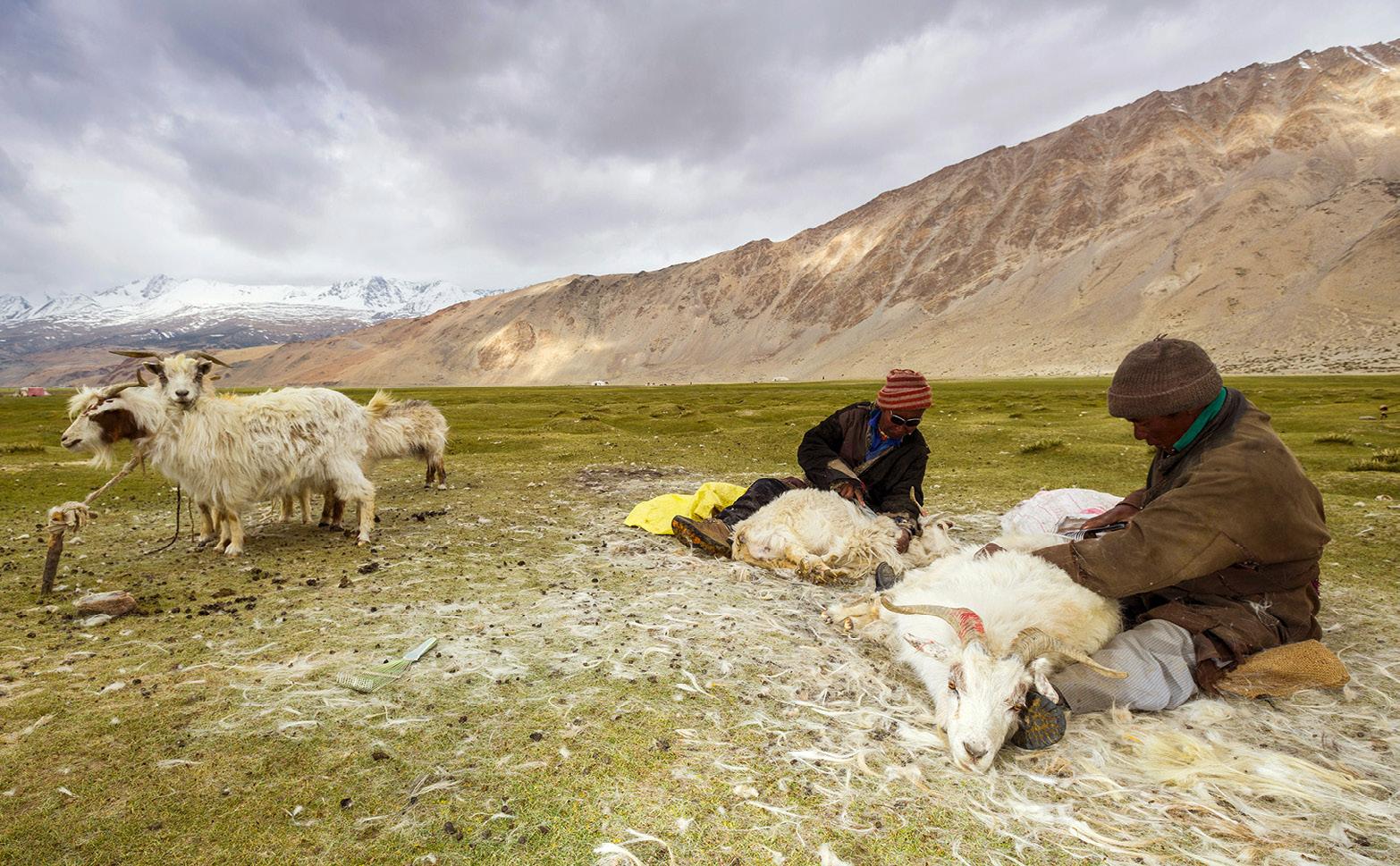 La calidez de la lana