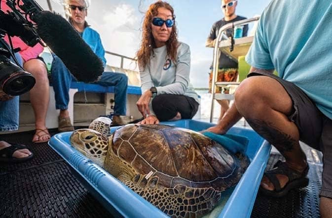 Sea Hero: MIKE GOLDBERG