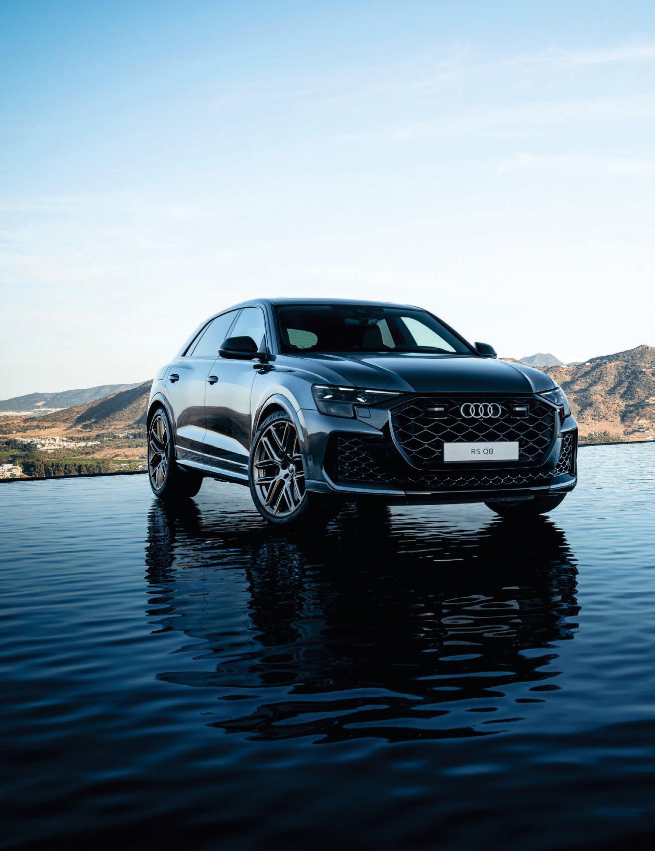 BALLISTIC BAVARIAN BRUTALIST