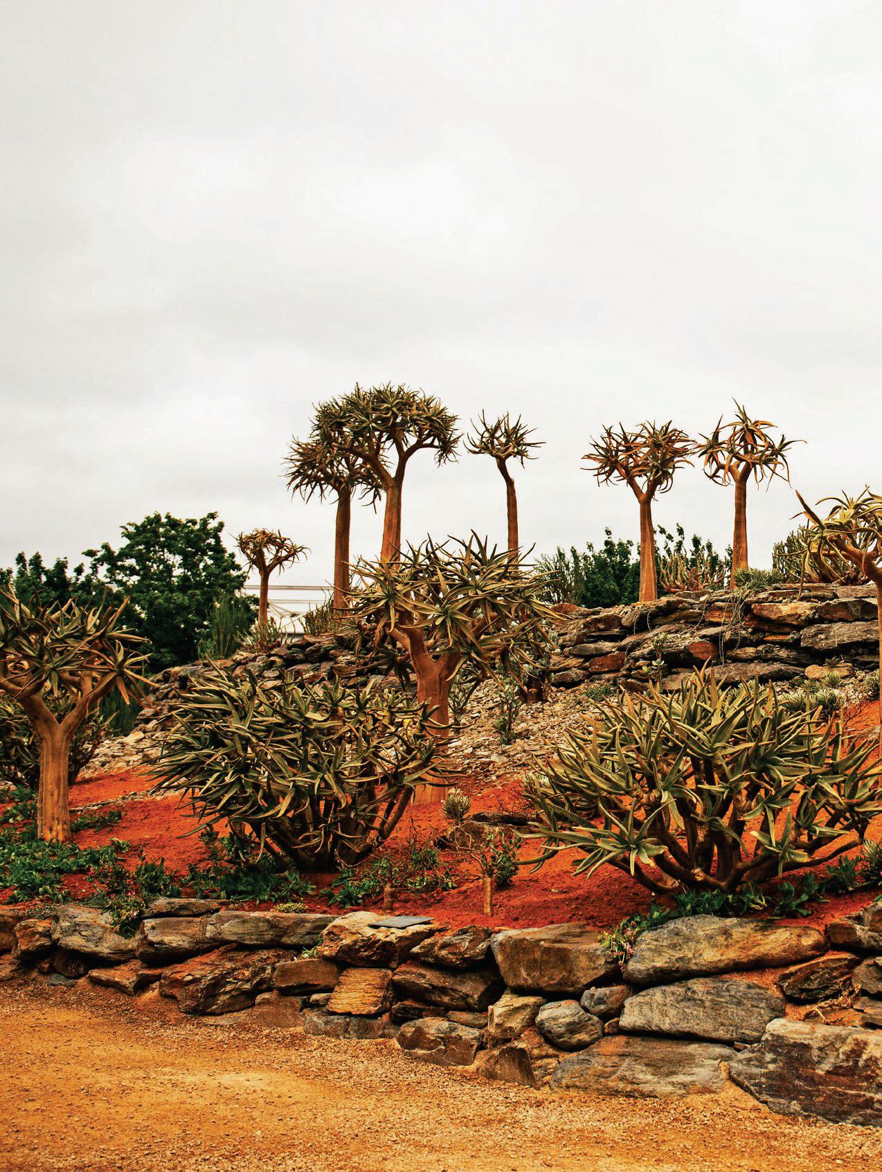 A TALE of TWO GARDENS