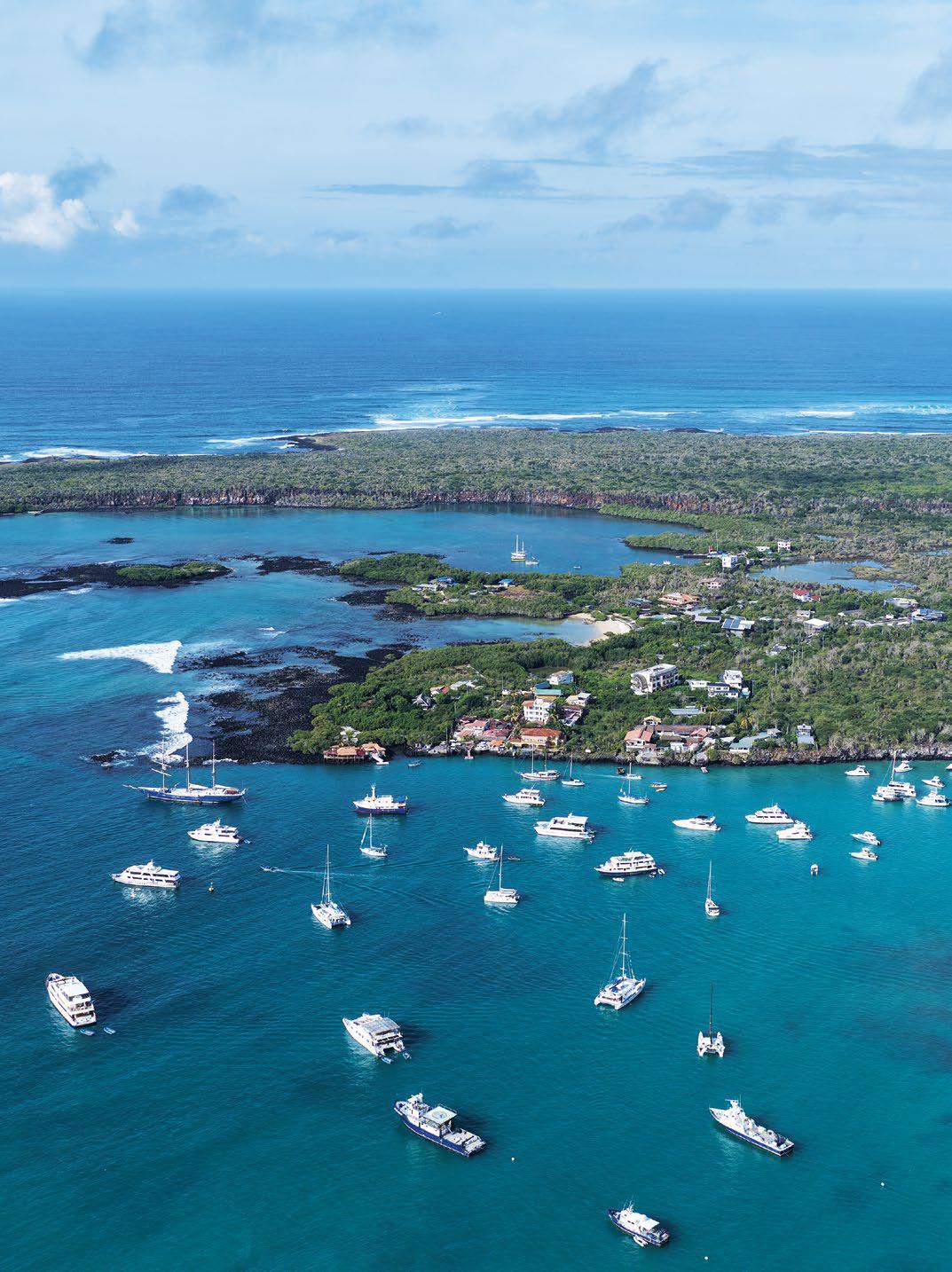 Pleasure in PARADISE