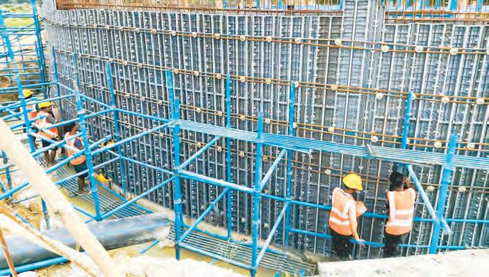 Cut weeks, not trees; lift easy, not heavy