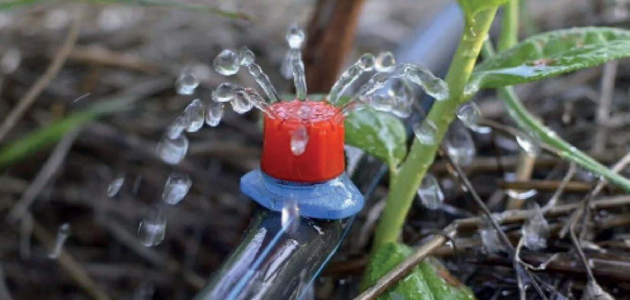 INSTALLING AN IRRIGATION SYSTEM