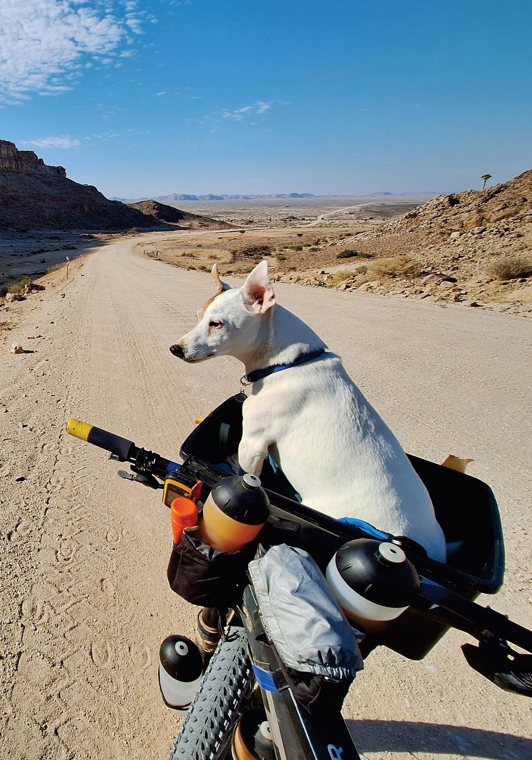 ROCKY'S EPIC ADVENTURE ACROSS THE WORLD'S OLDEST DESERT
