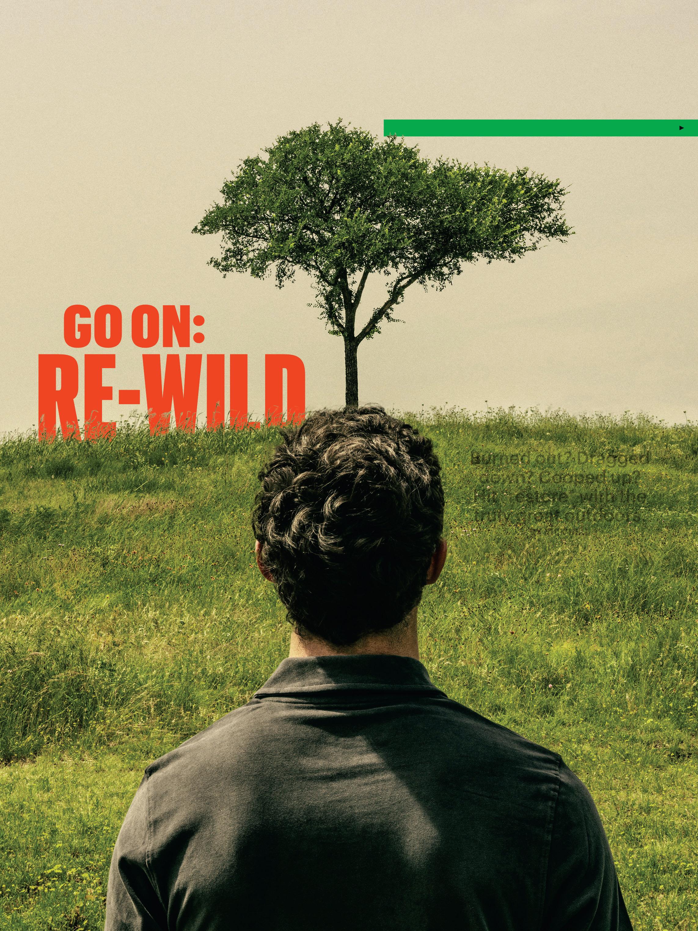 GO ON: RE-WILD YOUR BRAIN