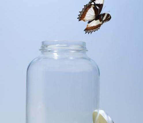 Somatic Therapy for Addiction