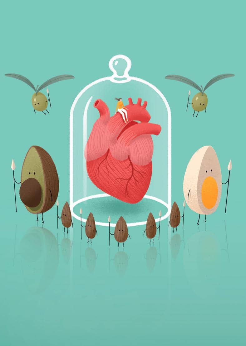 5 Myths About Fat