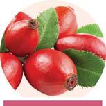 MATCH 'EM UP: NATURAL OILS