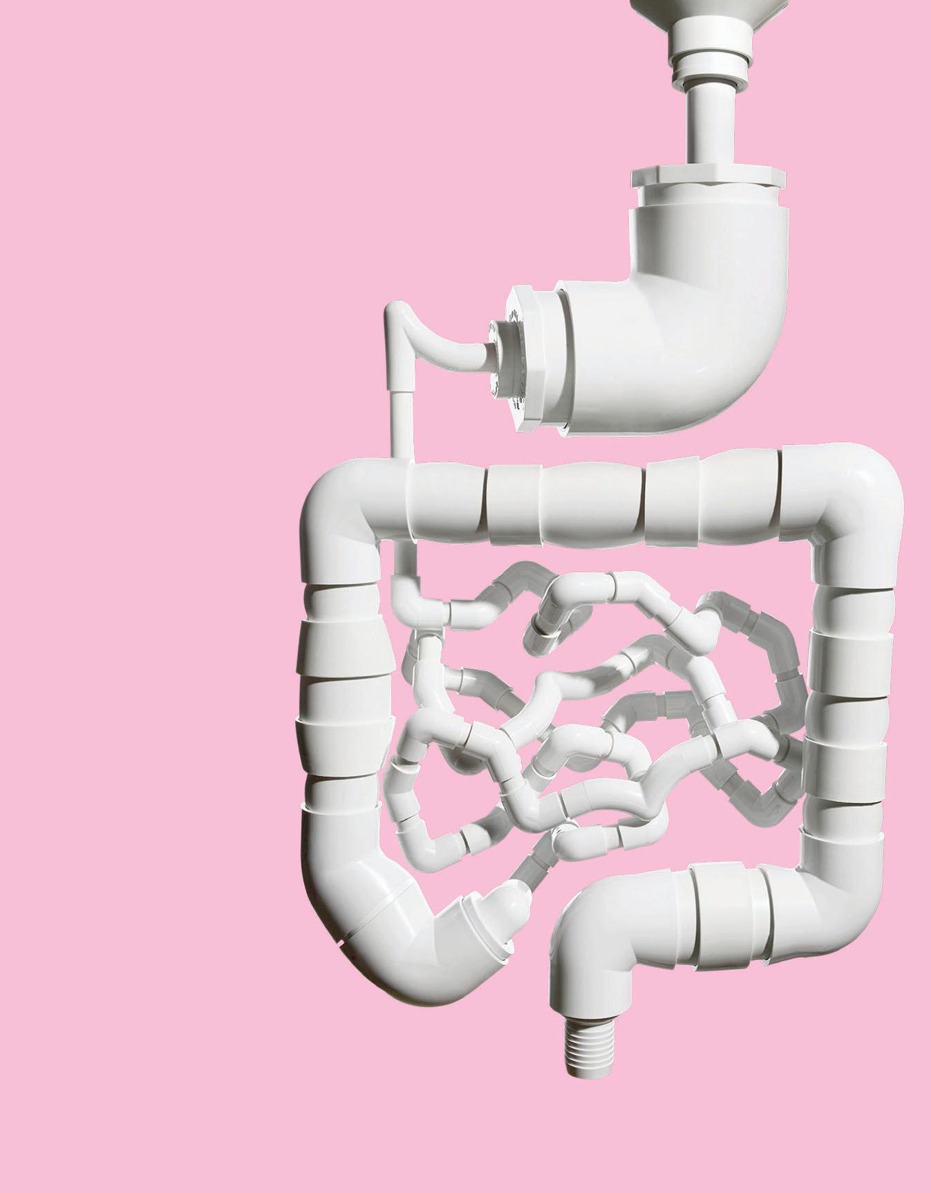 TEST YOUR GUT-HEALTH SMARTS