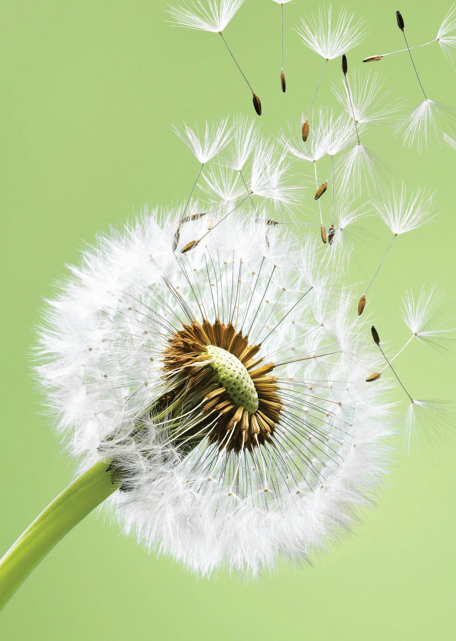 find freedom from stress