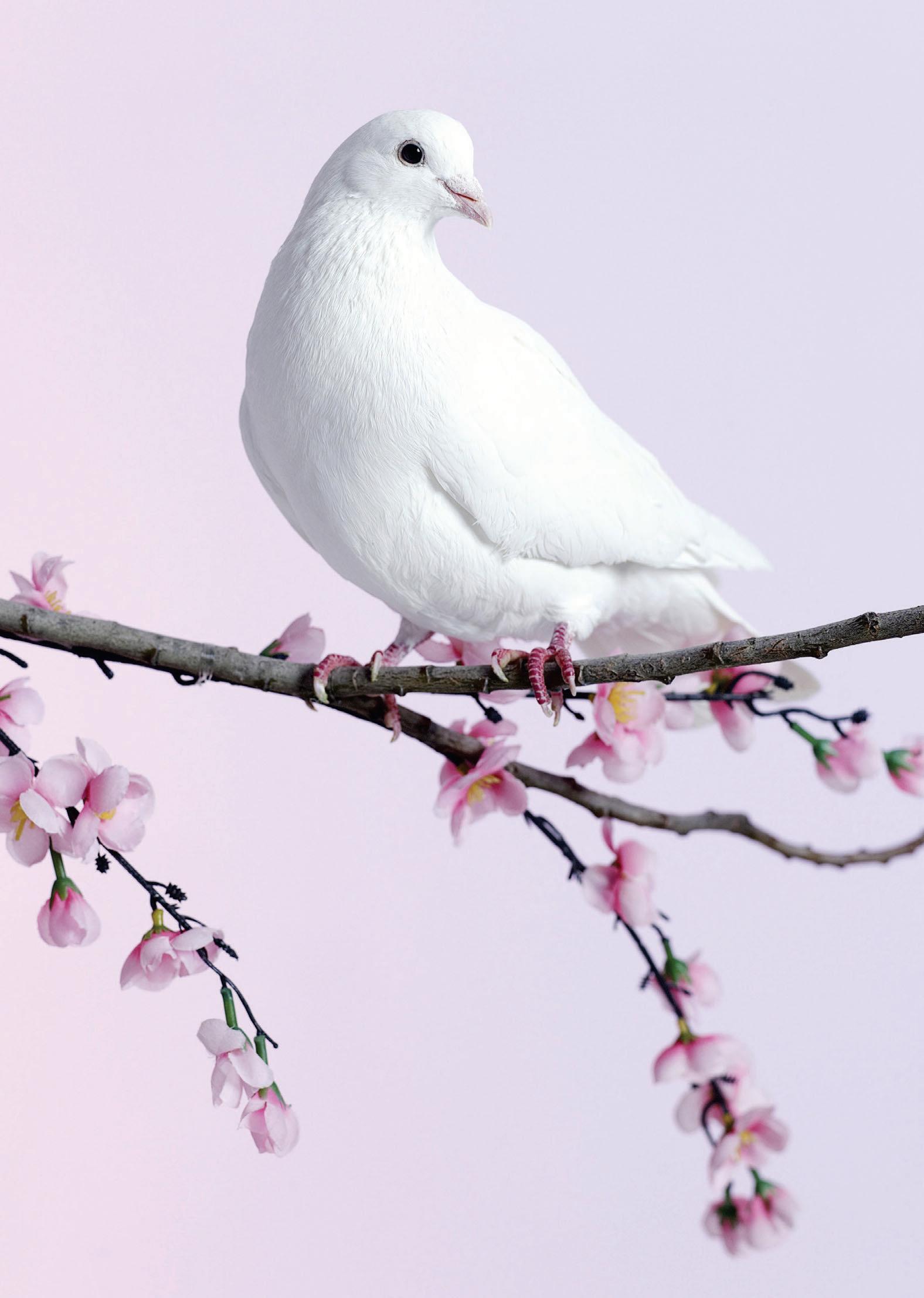 Embrace Alone Time