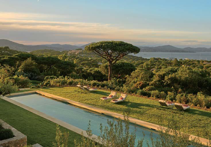 'Lotus' Lowdown