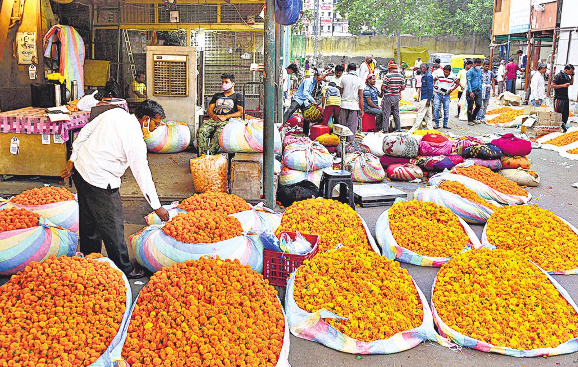 कोरोना के चलते 80% तक गिरा फूलों का कारोबार