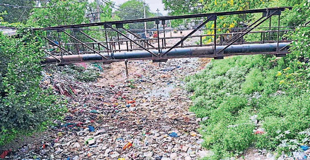 प्लास्टिक की थैलियां और सूखा कचरा फैला