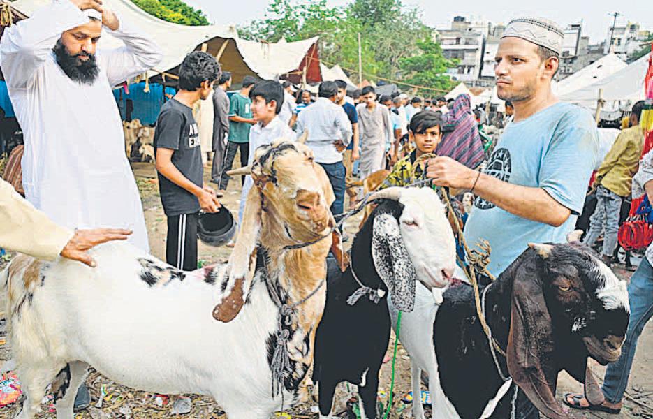 यह है मीना बाजार की रौनक, साढ़े तीन लाख में बिका 'मासूम'
