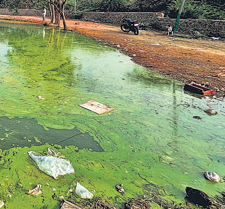 अनदेखी से सूखे तालाब, कचरा बना मुसीबत