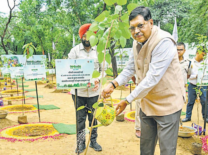 'वन आने वाली पीढ़ियों की अमानत'