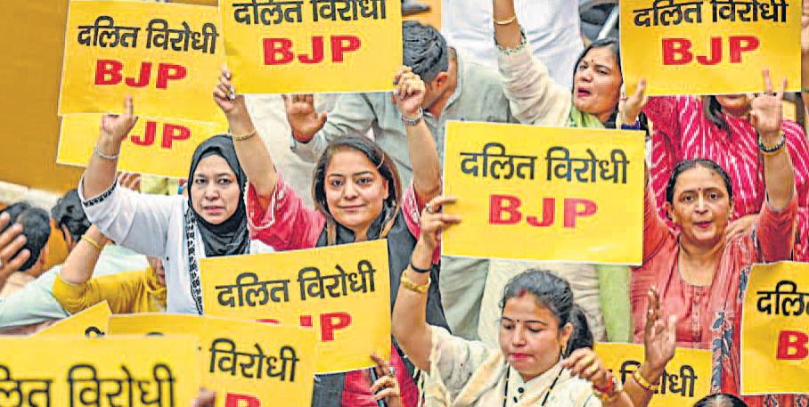 निगम की 23 समितियों के सदस्य चुने गए