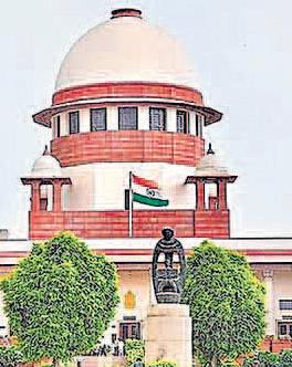 पीली मटर आयात पर केंद्र जवाब दे: अदालत