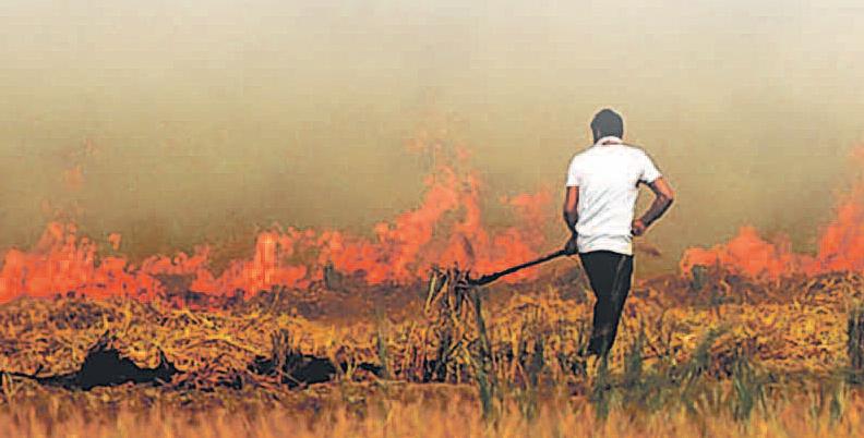 प्रदूषण नियंत्रण के लिए दो दशक में हुई कई पहल
