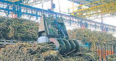 Sugarcane farmers may get a sweet deal