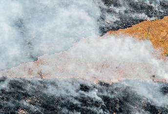 Climate crisis to AI: Challenges facing the future of humanity