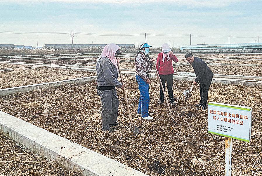 Time to celebrate as dreaded white gives way to pure gold