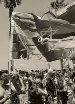 Don’t allow Israel to ‘pinkwash’ genocide