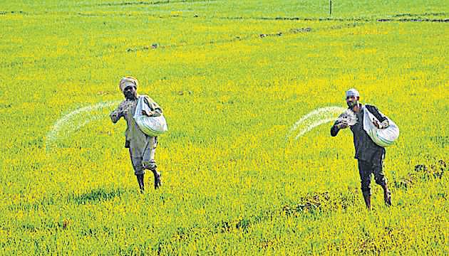 Kharif Fertiliser Subsidy