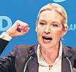 German AfD Emboldened by Austria's Far-Right Success