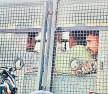 Min's aide charged under MCOCA in Beed sarpanch's extortion case