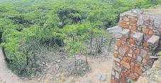 Delhi govt, officials fined over Ridge report delays