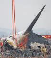 Jeju Air Plane Crash in South Korea: Duck Remains Found in Both Engines