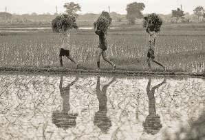 Preparing the ground for next generation of reforms against global headwinds