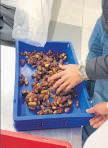 Customs seize gold hidden inside dates at IGI airport