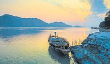 Fear and Loathing in Assam