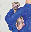Another captive-bred GIB chick hatches at centre