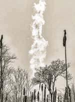 Oil prices will be immune to the Trump upheaval