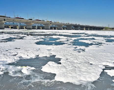 Yamuna water worsens, faecal coliform 6,400 times safe level